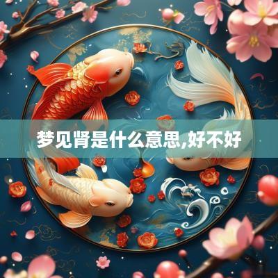梦见肾是什么意思,好不好