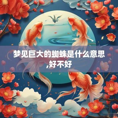 梦见巨大的蜘蛛是什么意思,好不好