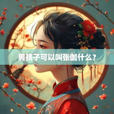男孩子可以叫张伽什么？