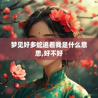 梦见好多蛇追着我是什么意思,好不好