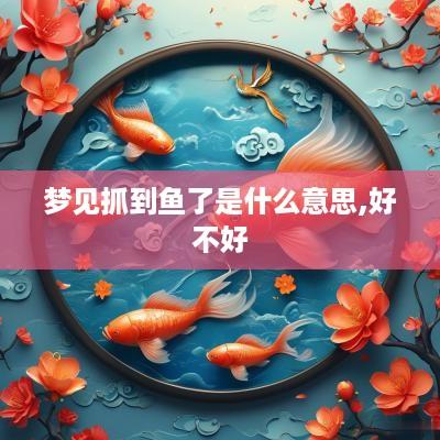 梦见抓到鱼了是什么意思,好不好