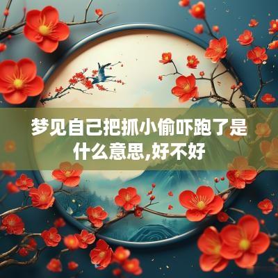 梦见自己把抓小偷吓跑了是什么意思,好不好