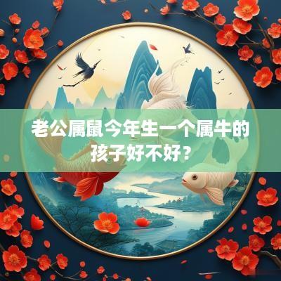 老公属鼠今年生一个属牛的孩子好不好？