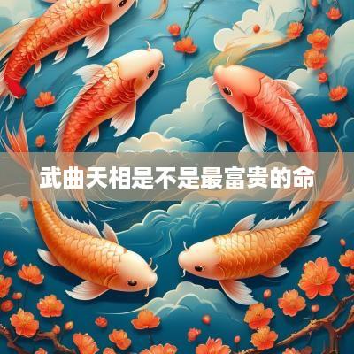 武曲天相是不是最富贵的命