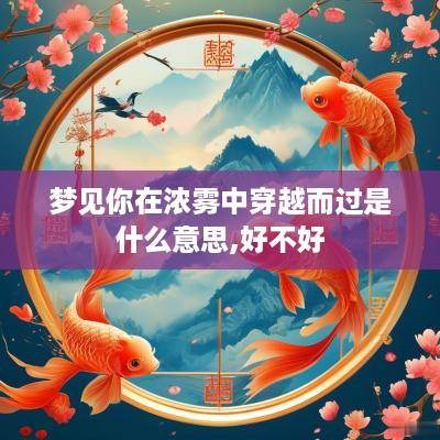 梦见你在浓雾中穿越而过是什么意思,好不好