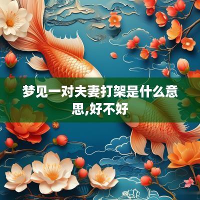 梦见一对夫妻打架是什么意思,好不好