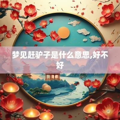 梦见赶驴子是什么意思,好不好
