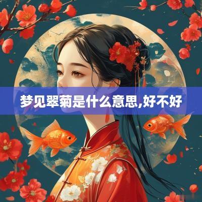 梦见翠菊是什么意思,好不好