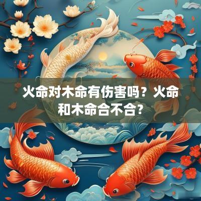 火命对木命有伤害吗？火命和木命合不合？