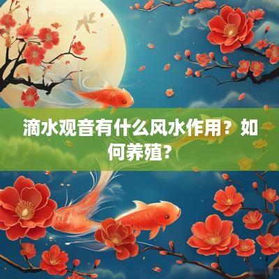 滴水观音有什么风水作用？如何养殖？
