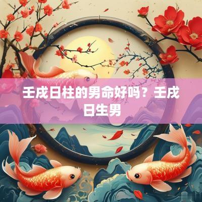 壬戌日柱的男命好吗？壬戌日生男