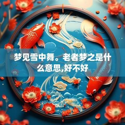 梦见雪中舞。老者梦之是什么意思,好不好