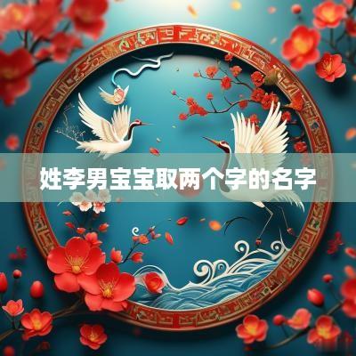 姓李男宝宝取两个字的名字