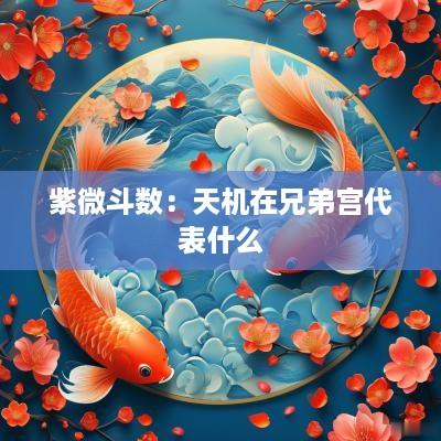 紫微斗数：天机在兄弟宫代表什么