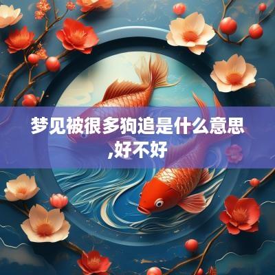 梦见被很多狗追是什么意思,好不好