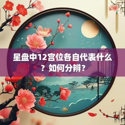 星盘中12宫位各自代表什么？如何分辨？