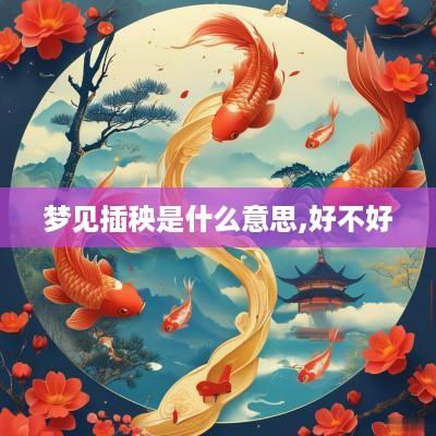 梦见插秧是什么意思,好不好