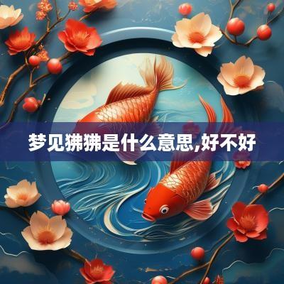梦见狒狒是什么意思,好不好