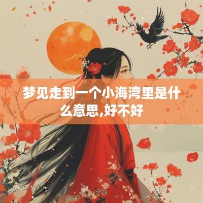 梦见走到一个小海湾里是什么意思,好不好