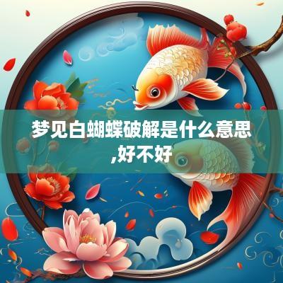 梦见白蝴蝶破解是什么意思,好不好