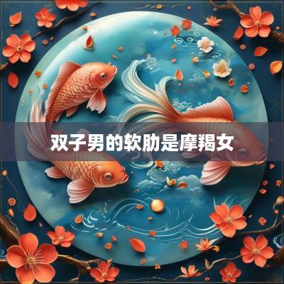 双子男的软肋是摩羯女