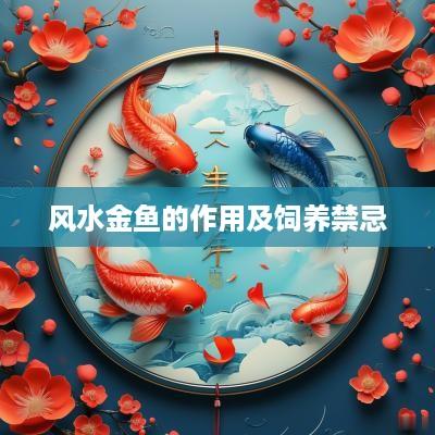 风水金鱼的作用及饲养禁忌