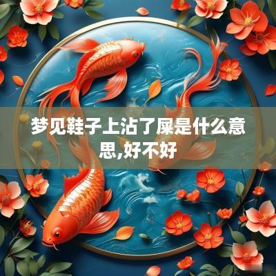 梦见鞋子上沾了屎是什么意思,好不好