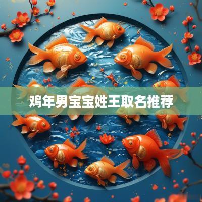 鸡年男宝宝姓王取名推荐