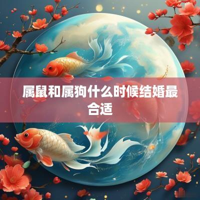 属鼠和属狗什么时候结婚最合适