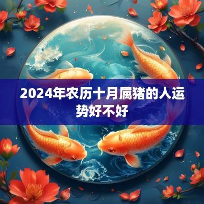 2025年农历十月属猪的人运势好不好