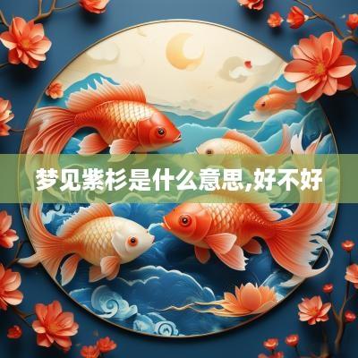 梦见紫杉是什么意思,好不好