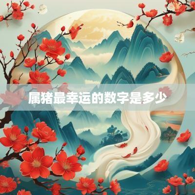 属猪最幸运的数字是多少