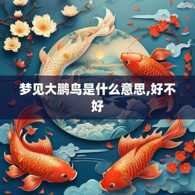 梦见大鹏鸟是什么意思,好不好