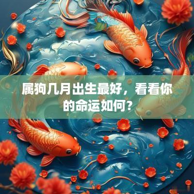 属狗几月出生最好，看看你的命运如何？