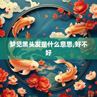 梦见黑头发是什么意思,好不好