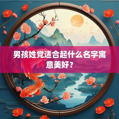 男孩姓党适合起什么名字寓意美好？