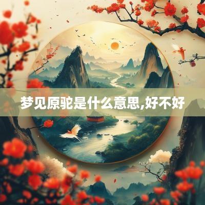 梦见原驼是什么意思,好不好