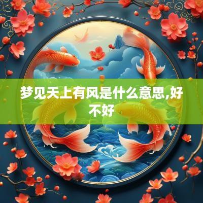 梦见天上有风是什么意思,好不好