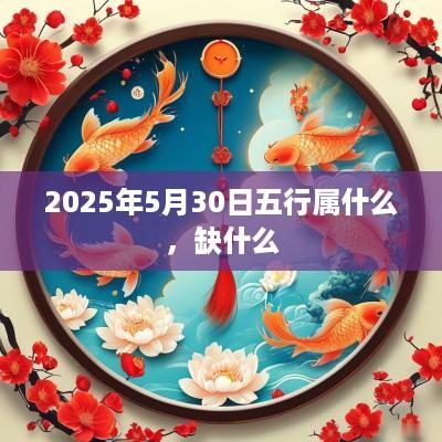 2025年5月30日五行属什么，缺什么