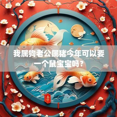 我属狗老公属猪今年可以要一个鼠宝宝吗？