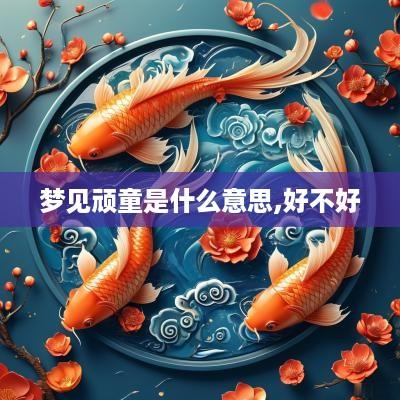 梦见顽童是什么意思,好不好