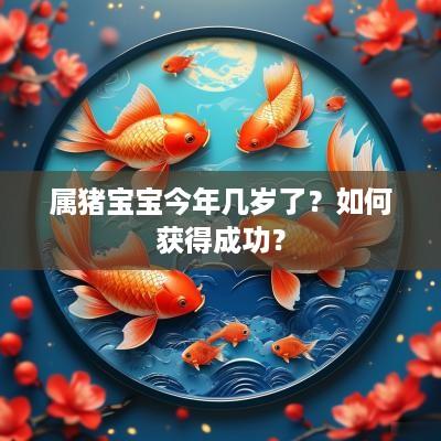 属猪宝宝今年几岁了？如何获得成功？