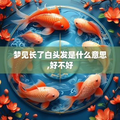 梦见长了白头发是什么意思,好不好