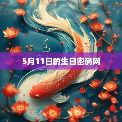5月11日的生日密码网
