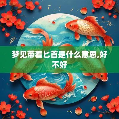 梦见带着匕首是什么意思,好不好