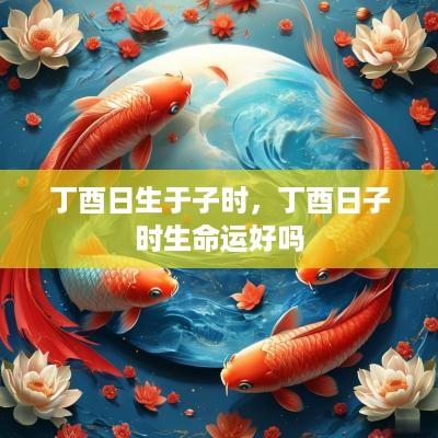 丁酉日生于子时，丁酉日子时生命运好吗