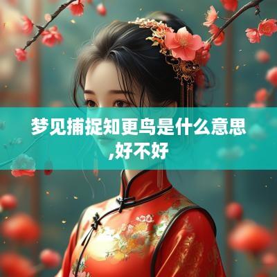 梦见捕捉知更鸟是什么意思,好不好