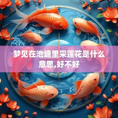 梦见在池塘里采莲花是什么意思,好不好