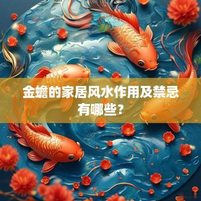 金蟾的家居风水作用及禁忌有哪些？