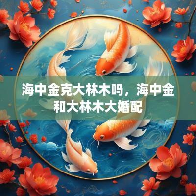 海中金克大林木吗，海中金和大林木大婚配